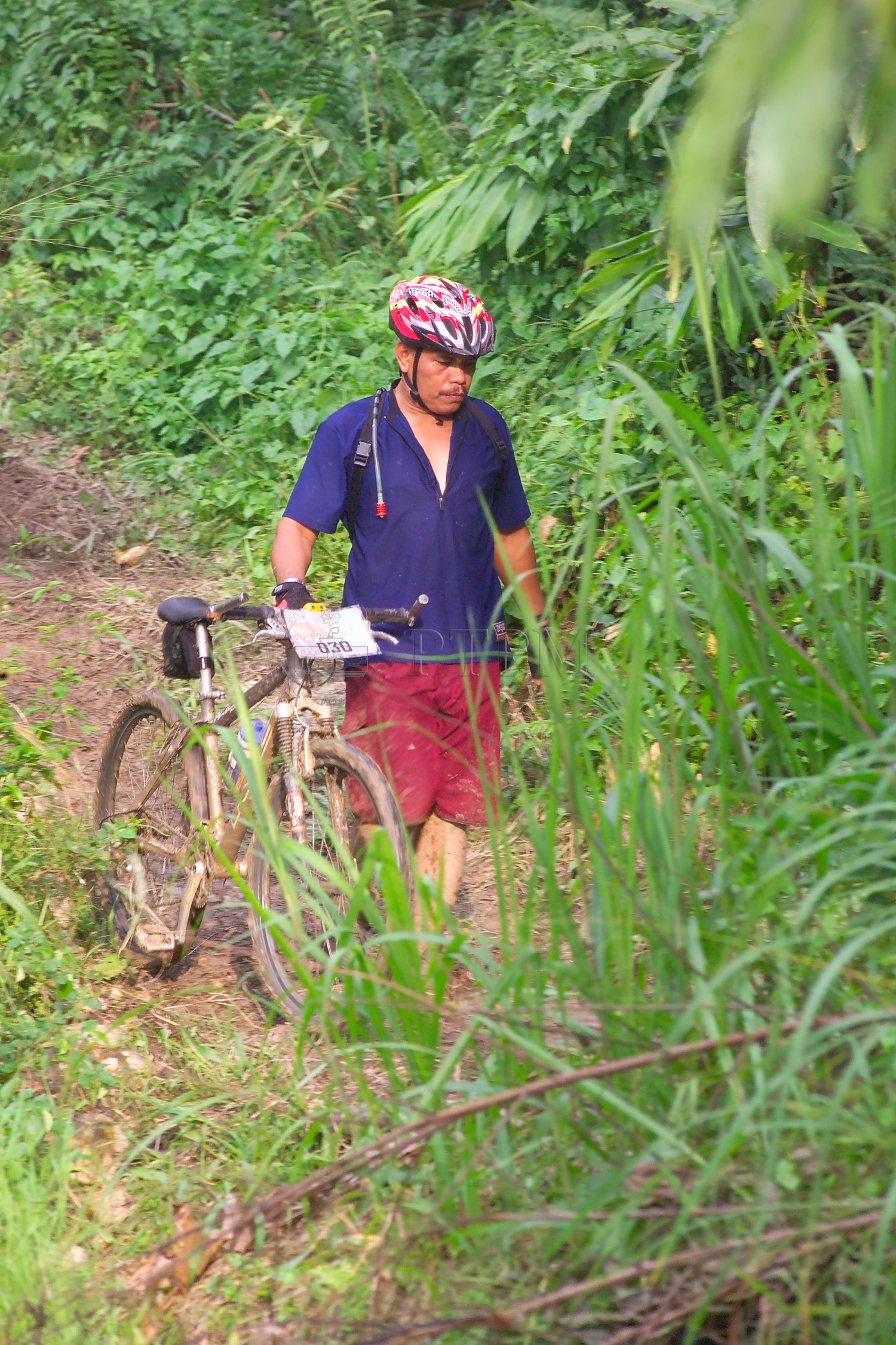 PTPM 06 31 kilau D9X44245